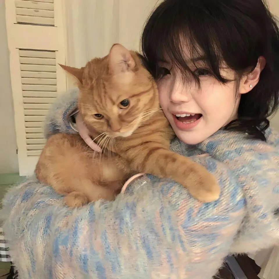 汤姆猫与杰利鼠：绿野仙踪